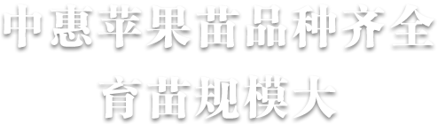 塑料包裝袋