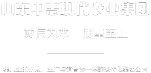金池包裝支持定做
